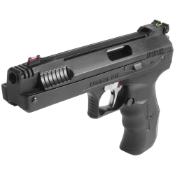 Beeman 2004 Single-Stroke Pneumatic Gun