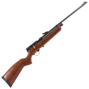 Sportsman CO2 Single Shot .177cal Air Rifle