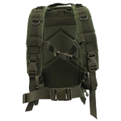 Nighthawk 25L Assault Pack