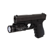 TLR-1-HL 1000 Lumen C4 LED Rail 