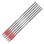 Umarex AirSaber Arrows - 6 pcs